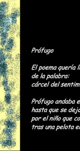 POEMAS_PINTURAS_poema profugo de_Chalena